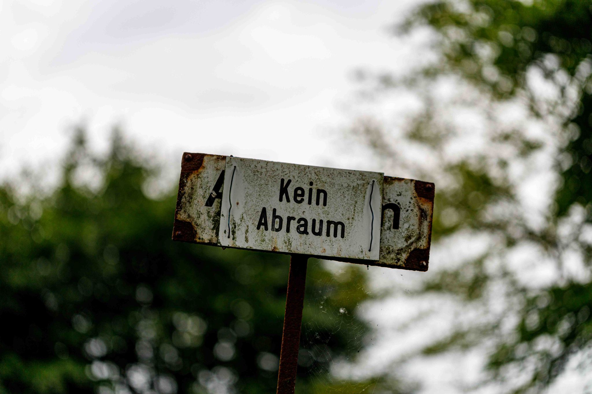 Fotokurs Friedhof
