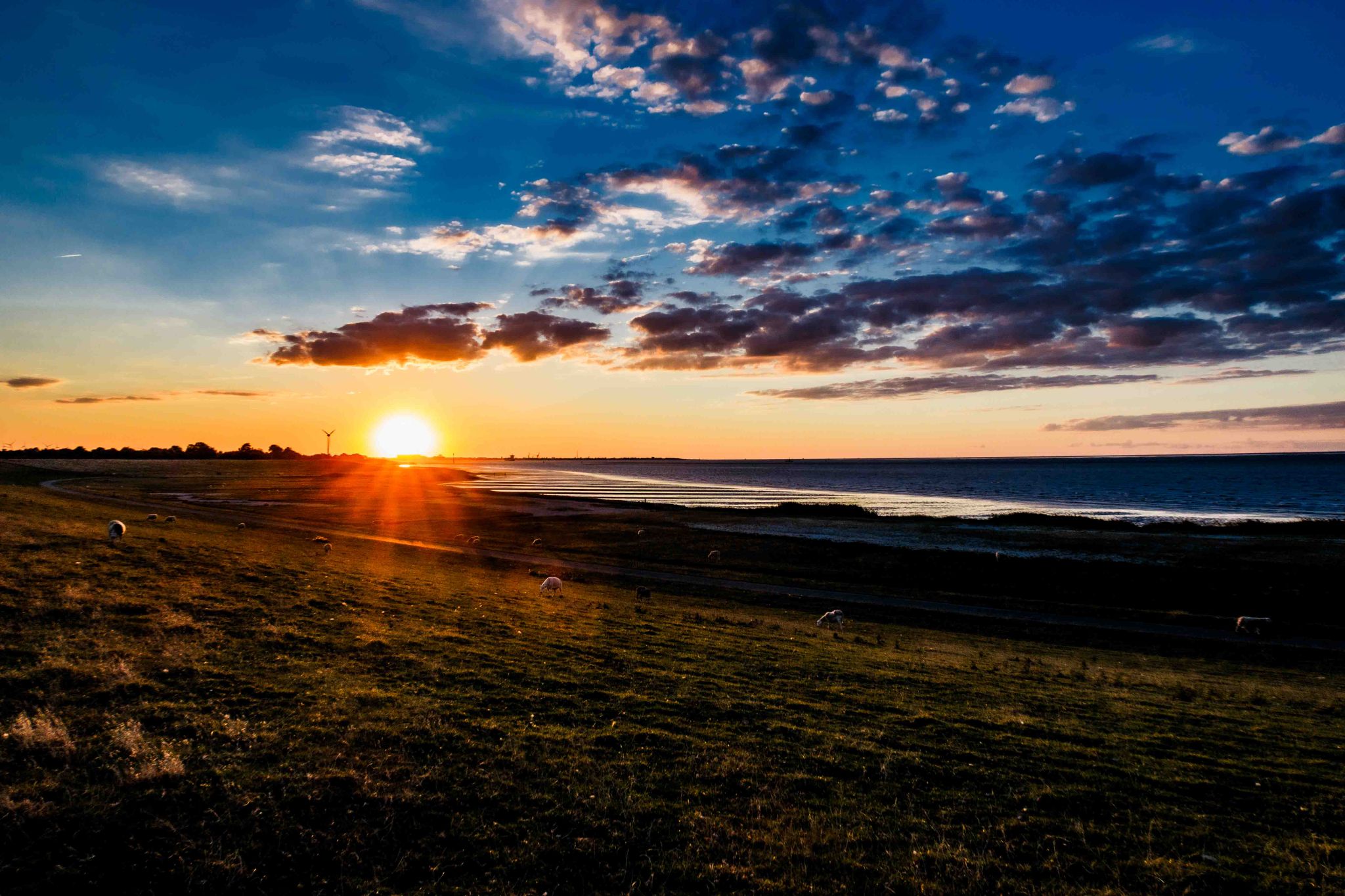 Sonnenuntergang an der Elbe