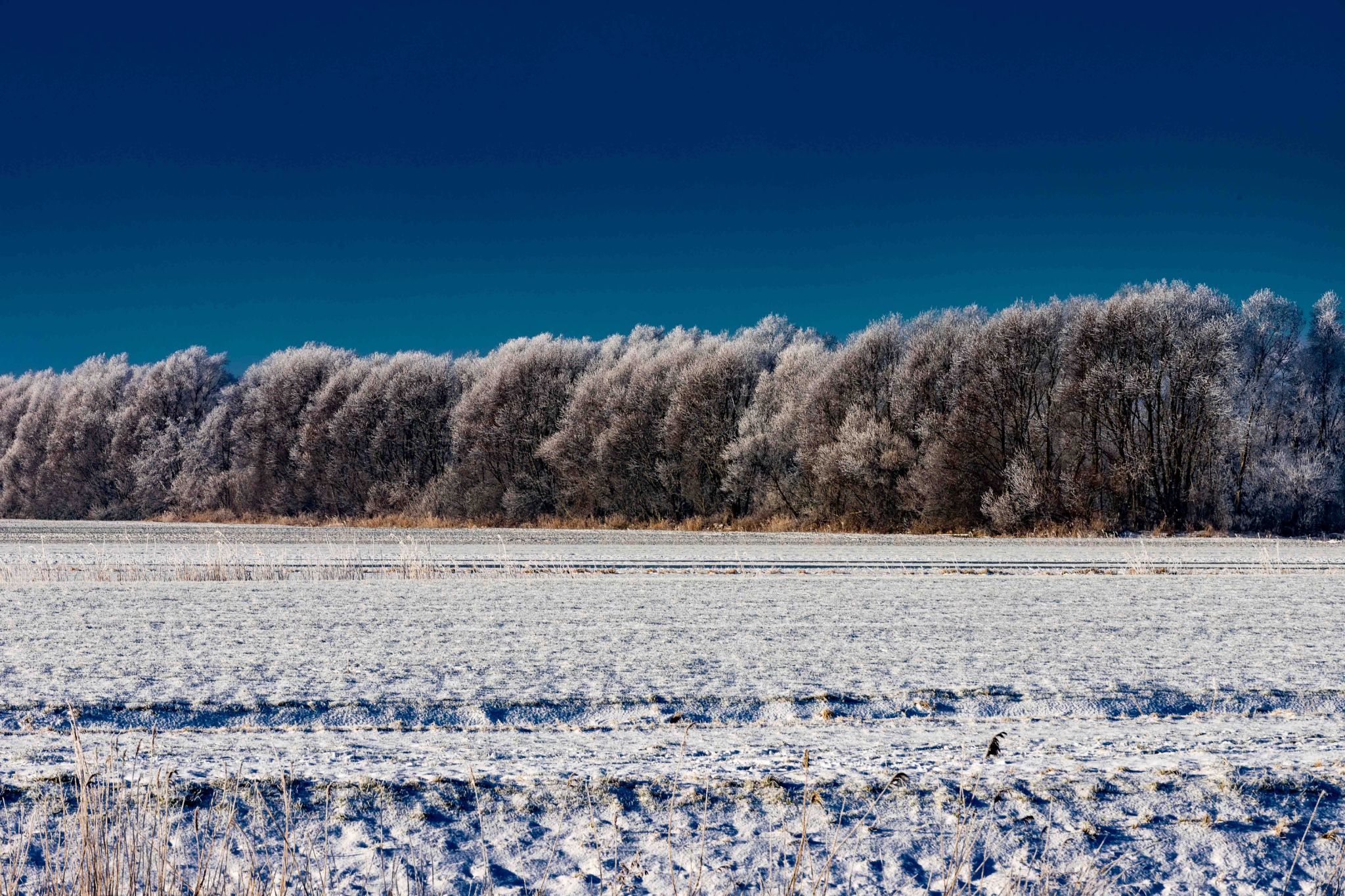 Winterlandschaft