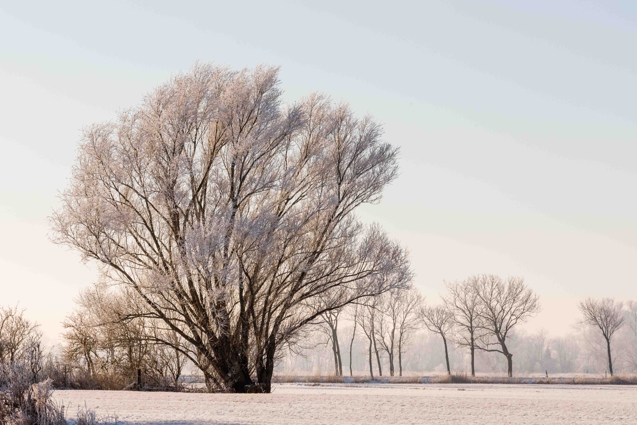 Winterlandschaft