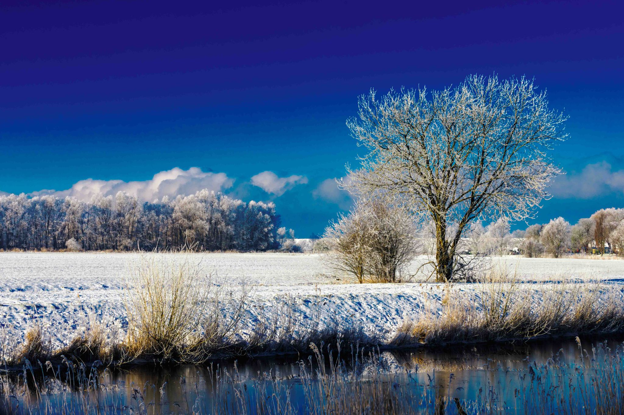 Winterlandschaft